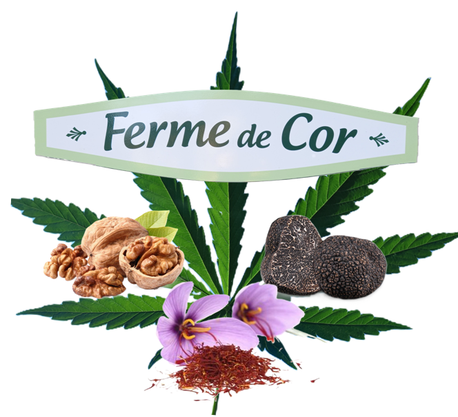 Ferme de Cor